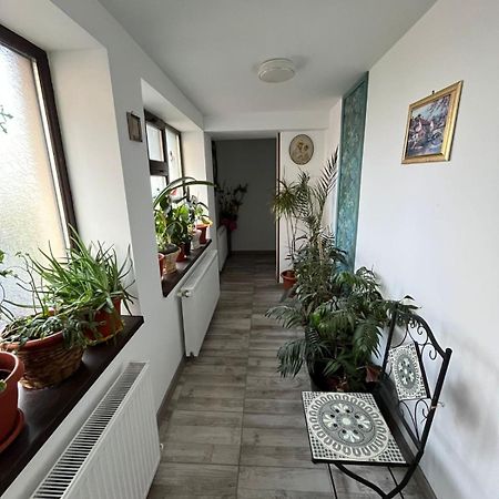 Solaria Apartment 加拉茨 外观 照片